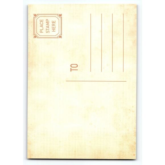 Vintage Halloween Postcard Grim Reaper & Jack-o'-Lanterns Chrome 5.5x4 - Picture 2 of 2